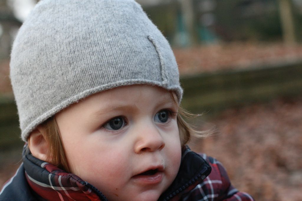 EOS IMG_20100122_1489