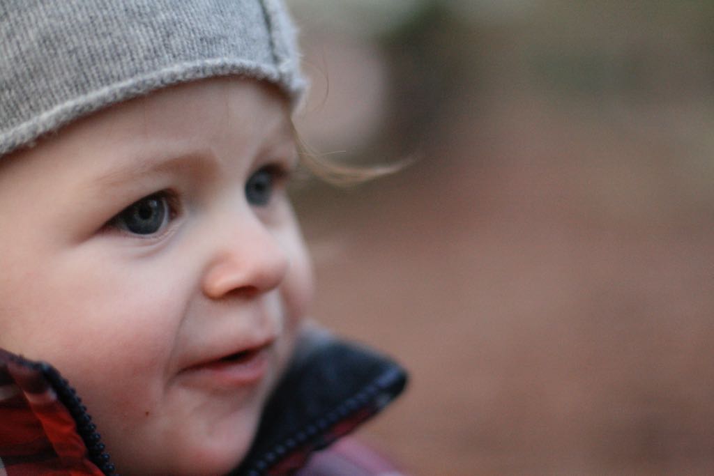 EOS IMG_20100122_1491