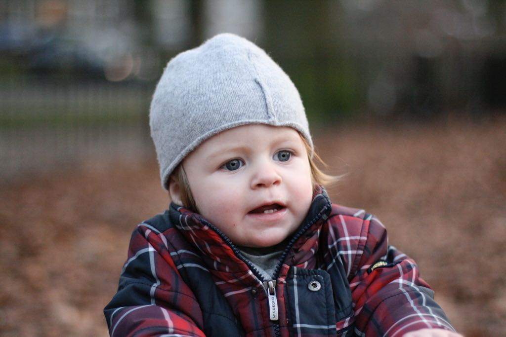 EOS IMG_20100122_1506