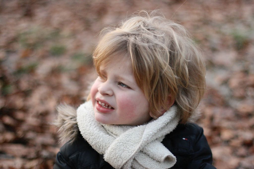 EOS IMG_20100122_1517