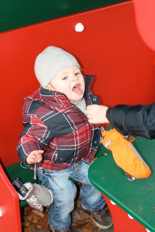 EOS IMG_20100122_1522