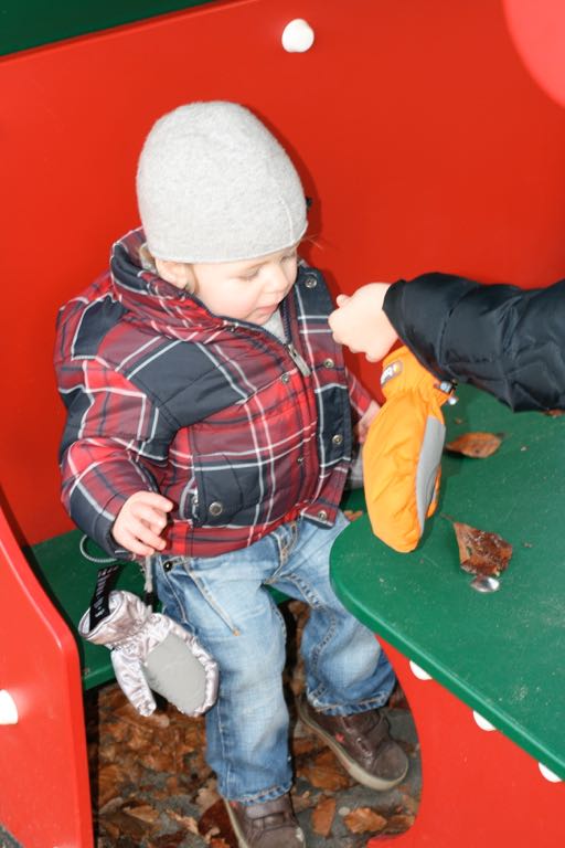 EOS IMG_20100122_1523