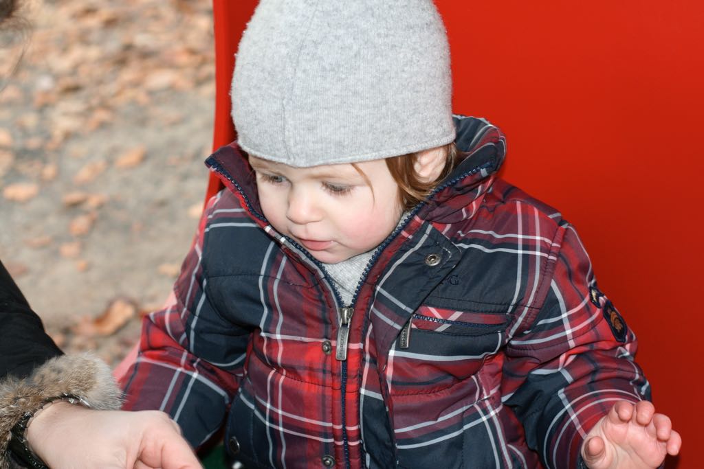 EOS IMG_20100122_1526