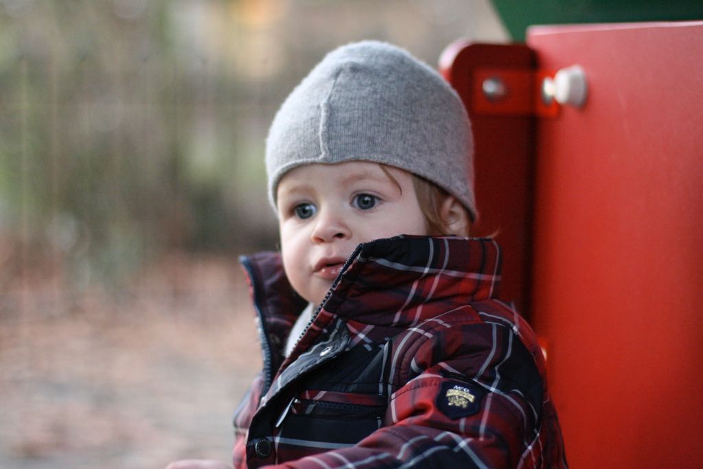 EOS IMG_20100122_1534