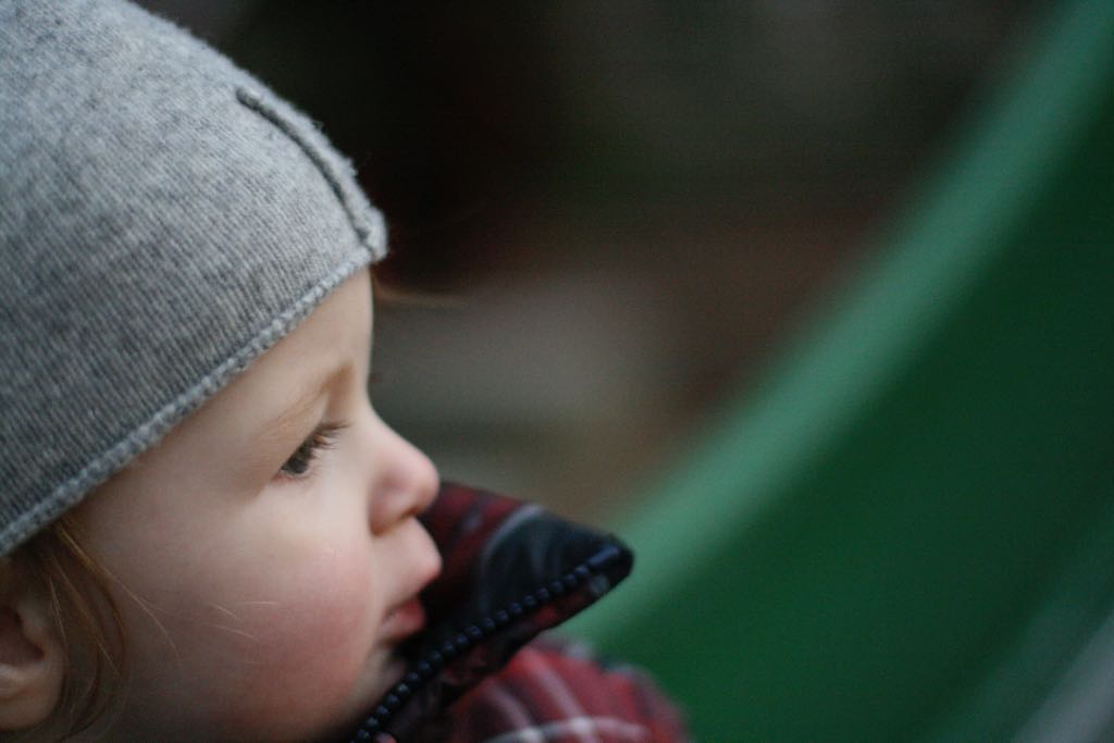 EOS IMG_20100122_1555