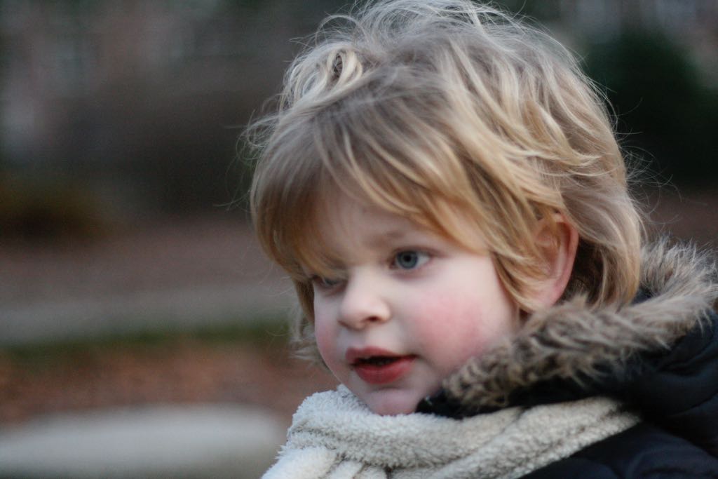 EOS IMG_20100122_1564