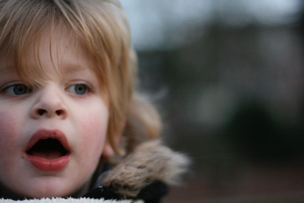 EOS IMG_20100122_1565