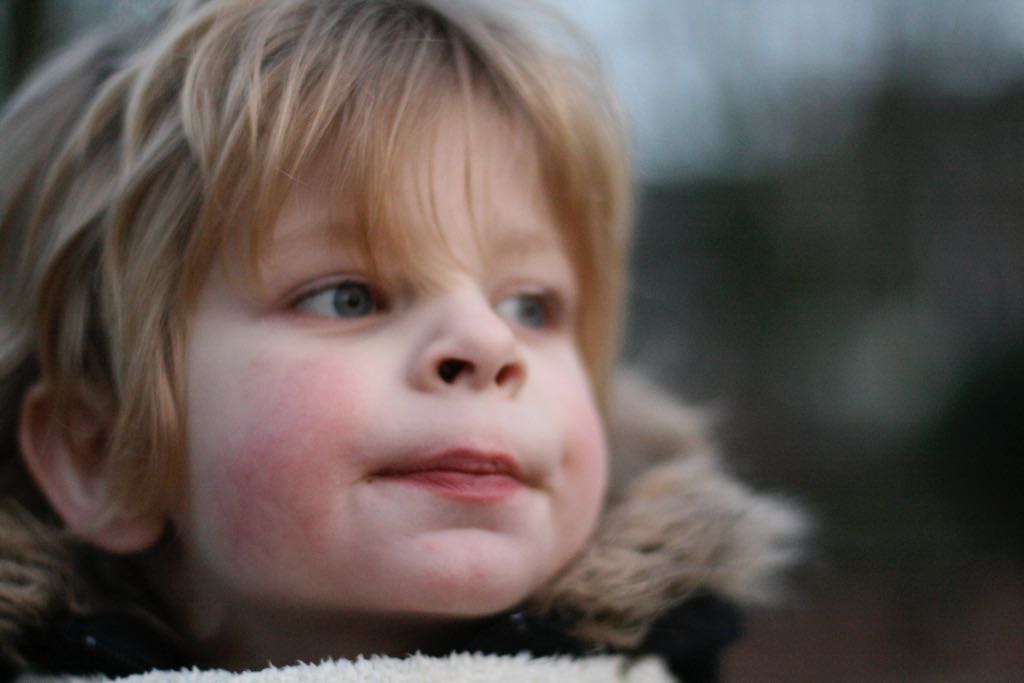 EOS IMG_20100122_1566