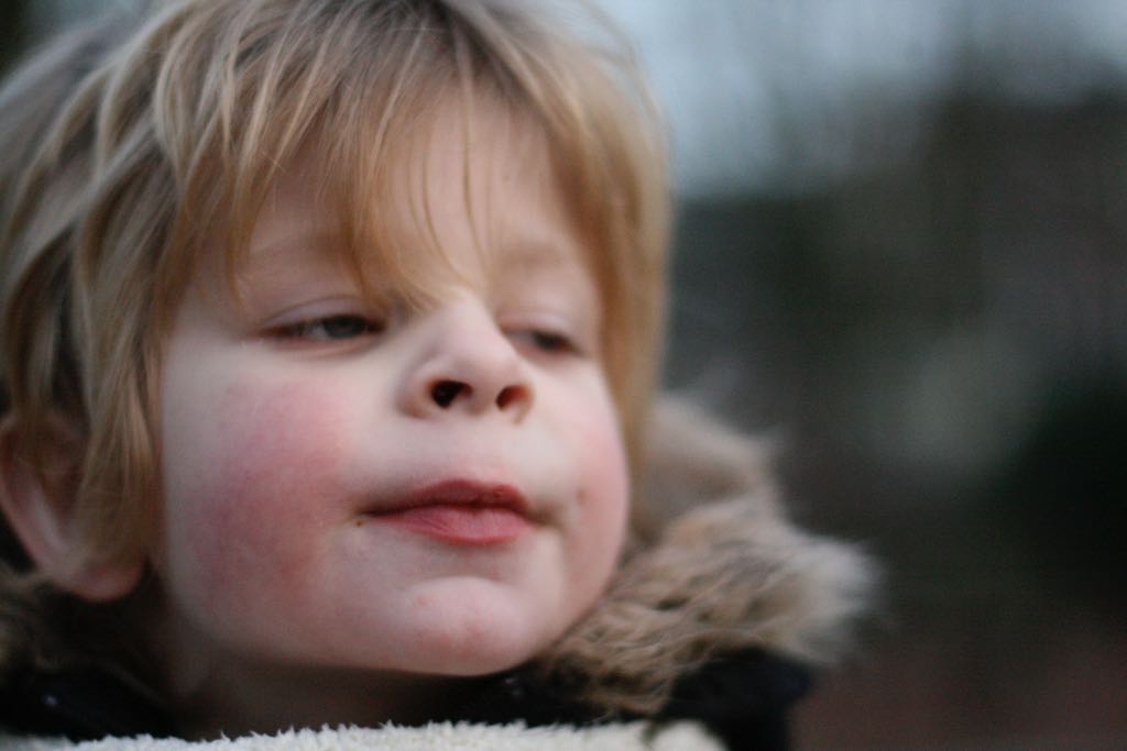 EOS IMG_20100122_1567