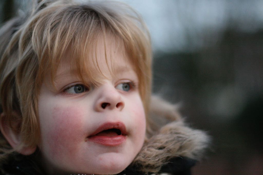EOS IMG_20100122_1568