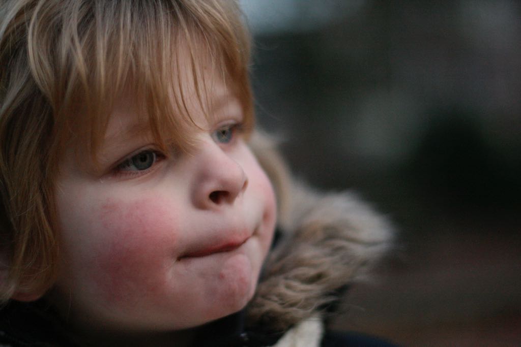 EOS IMG_20100122_1570