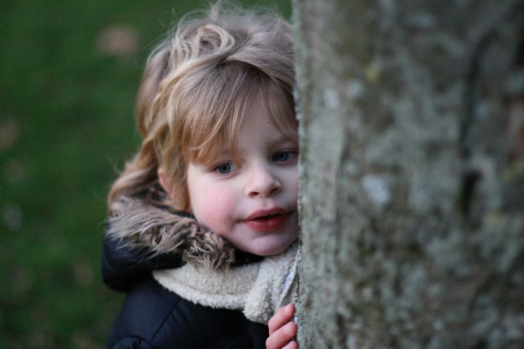 EOS IMG_20100122_1574