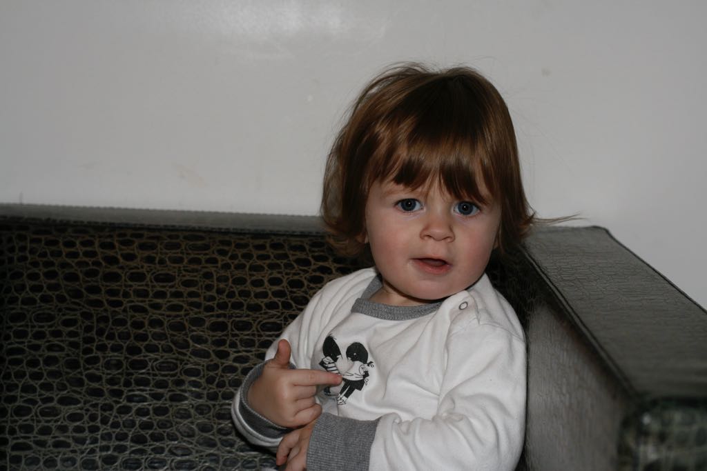 EOS IMG_20100123_1595