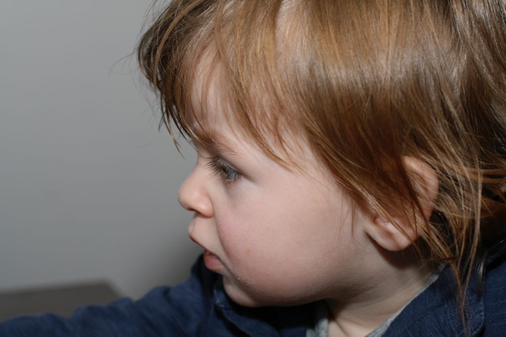 EOS IMG_20100131_1646
